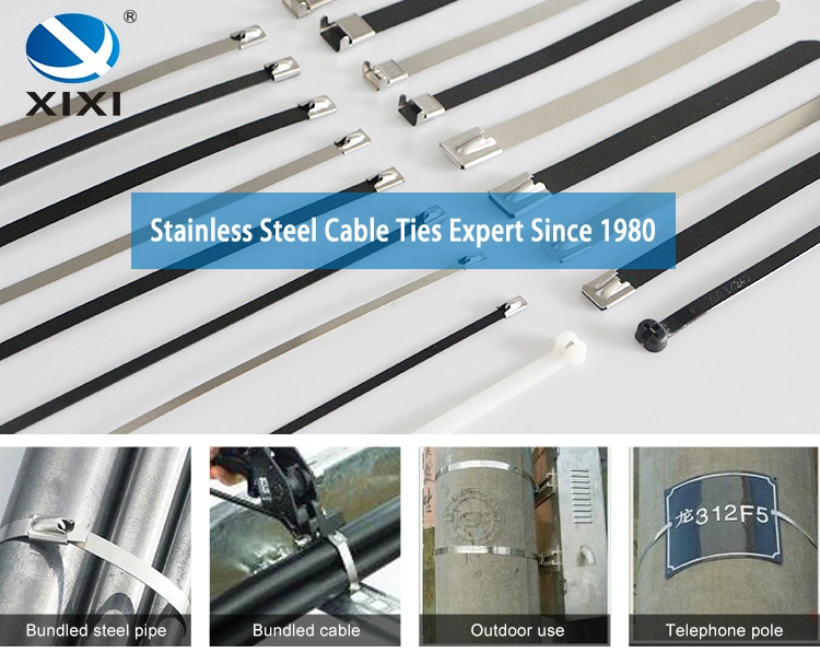 Plastic PVC Coated Ss Stainless Steel Cable Ties 316 Stainless Steel Cable