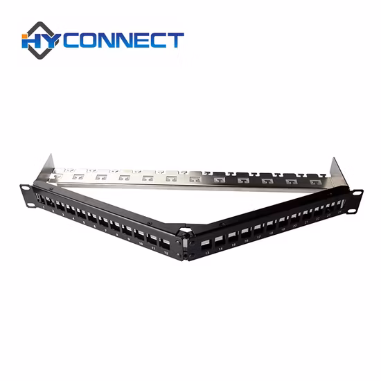 FTP 24 Port Angled Blank Patch Panel